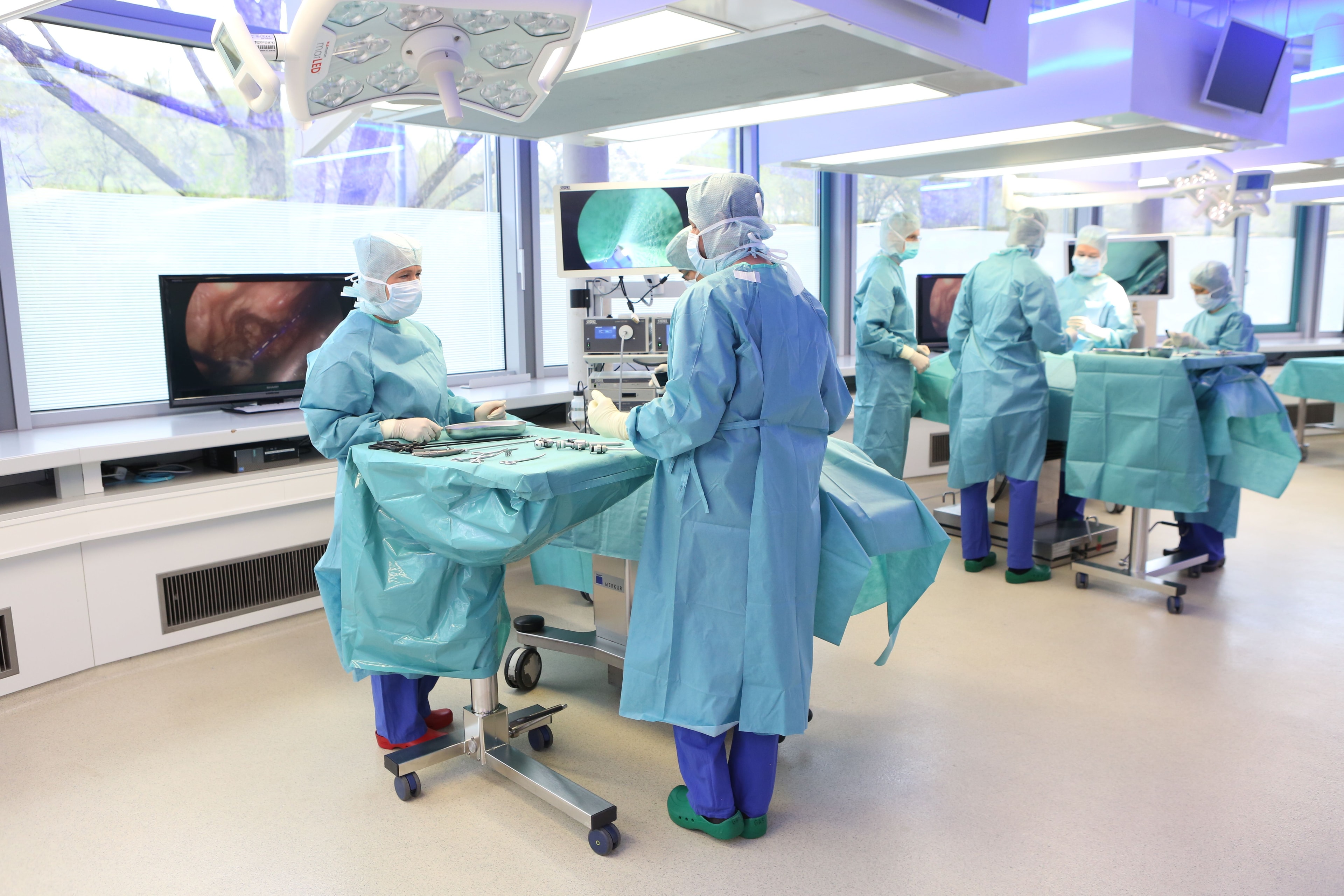 Bild für Klinische Translation